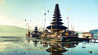 Pourquoi voyager à Bali : Les meilleures raisons de visiter cette île indonésienne