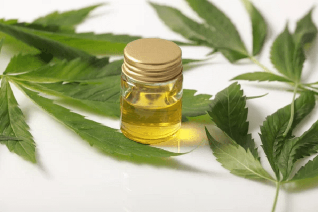 feuille de cannabis et huile de cbd