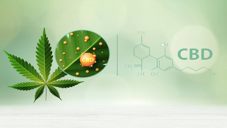 Définition du CBD